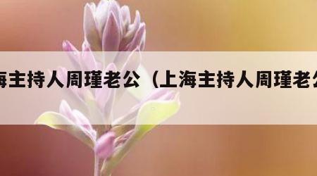 上海主持人周瑾老公（上海主持人周瑾老公照片）