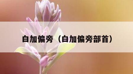 白加偏旁（白加偏旁部首）