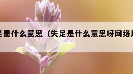 失足是什么意思（失足是什么意思呀网络用语）