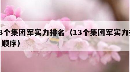 13个集团军实力排名（13个集团军实力排名顺序）