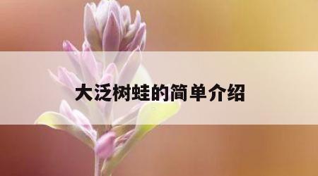 大泛树蛙的简单介绍