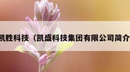 凯胜科技（凯盛科技集团有限公司简介）