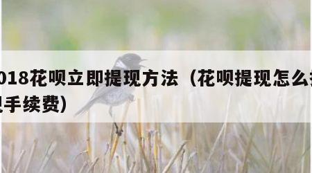 2018花呗立即提现方法（花呗提现怎么提现手续费）