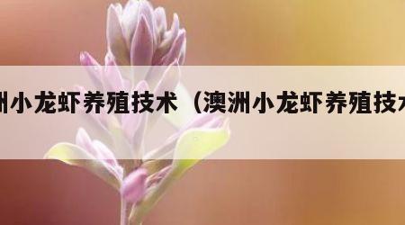 澳洲小龙虾养殖技术（澳洲小龙虾养殖技术大全）