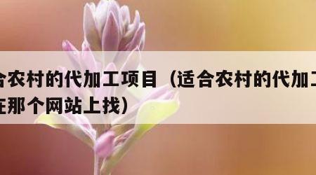 适合农村的代加工项目（适合农村的代加工项目在那个网站上找）