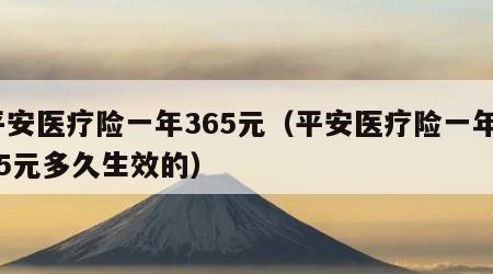 平安医疗险一年365元（平安医疗险一年365元多久生效的）