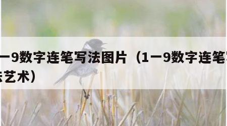 1一9数字连笔写法图片（1一9数字连笔写法艺术）