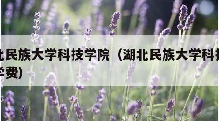 湖北民族大学科技学院（湖北民族大学科技学院学费）