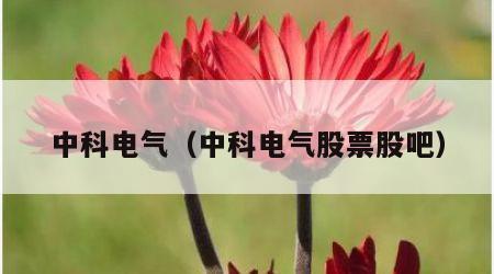 中科电气（中科电气股票股吧）