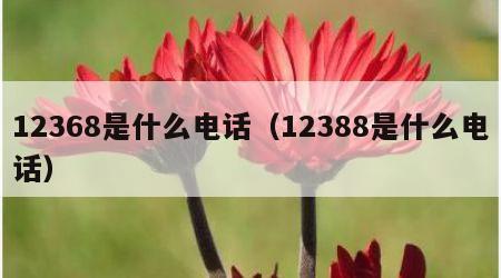 12368是什么电话（12388是什么电话）