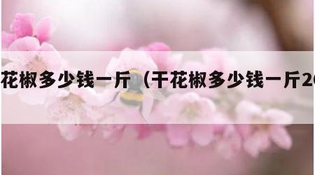 干花椒多少钱一斤（干花椒多少钱一斤2023）