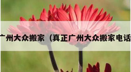 广州大众搬家（真正广州大众搬家电话）