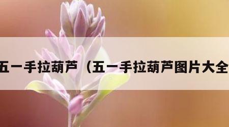 五一手拉葫芦（五一手拉葫芦图片大全）