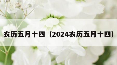 农历五月十四（2024农历五月十四）