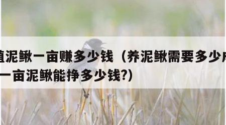 养殖泥鳅一亩赚多少钱（养泥鳅需要多少成本?养一亩泥鳅能挣多少钱?）