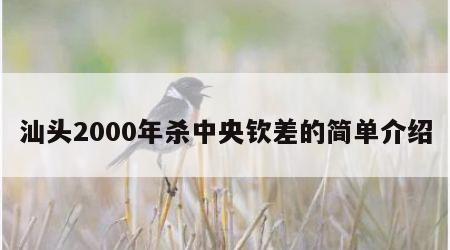 汕头2000年杀中央钦差的简单介绍