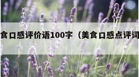 美食口感评价语100字（美食口感点评词语）