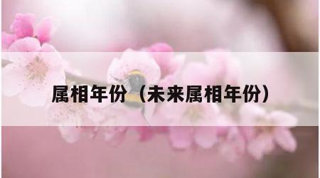 属相年份（未来属相年份）