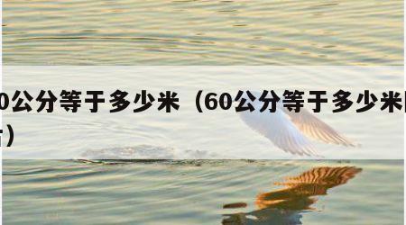 60公分等于多少米（60公分等于多少米图片）