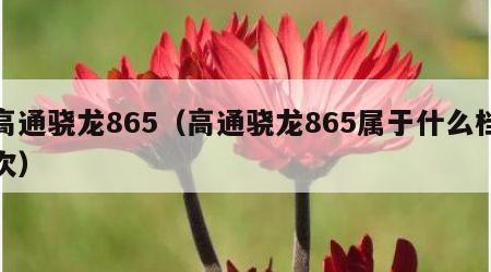 高通骁龙865（高通骁龙865属于什么档次）