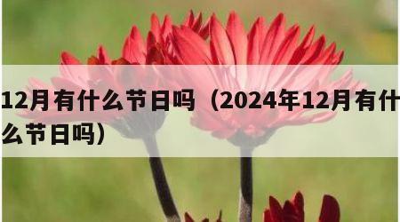 12月有什么节日吗（2024年12月有什么节日吗）