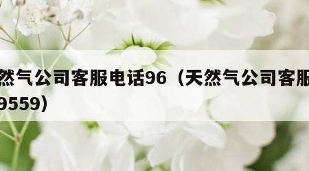 天然气公司客服电话96（天然气公司客服电话9559）