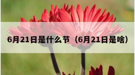 6月21日是什么节（6月21日是啥）