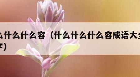 什么什么什么容（什么什么什么容成语大全四个字）