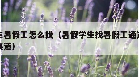 学生暑假工怎么找（暑假学生找暑假工通过什么渠道）