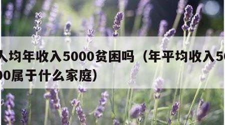 人均年收入5000贫困吗（年平均收入5000属于什么家庭）