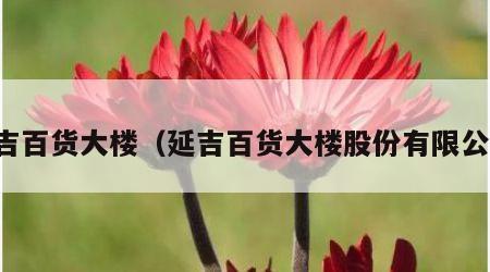 延吉百货大楼（延吉百货大楼股份有限公司）