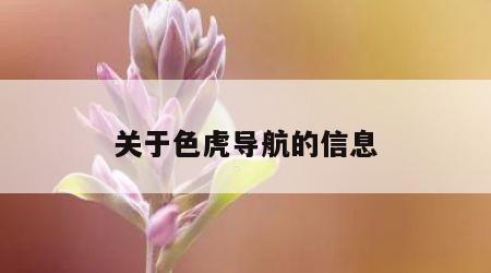 关于色虎导航的信息