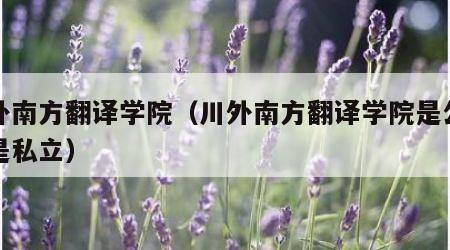 川外南方翻译学院（川外南方翻译学院是公立还是私立）