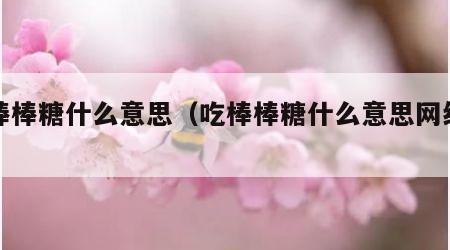 吃棒棒糖什么意思（吃棒棒糖什么意思网络词）