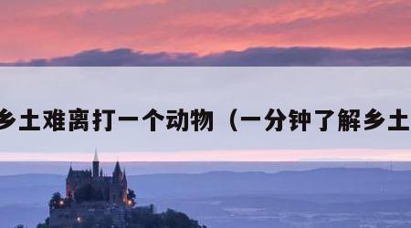 乡土难离打一个动物（一分钟了解乡土）