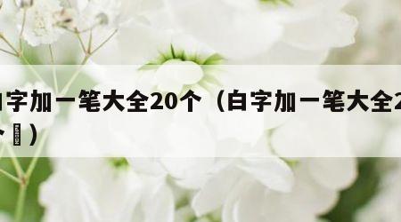 白字加一笔大全20个（白字加一笔大全20个癿）