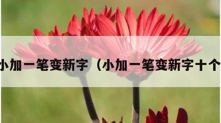 小加一笔变新字（小加一笔变新字十个）