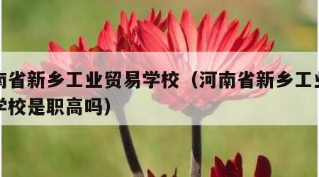 河南省新乡工业贸易学校（河南省新乡工业贸易学校是职高吗）