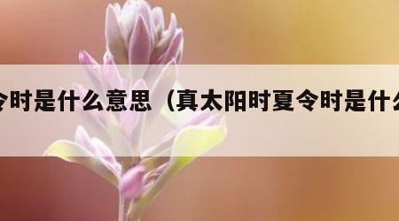 夏令时是什么意思（真太阳时夏令时是什么意思）