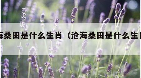 沧海桑田是什么生肖（沧海桑田是什么生肖肖）