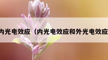 内光电效应（内光电效应和外光电效应）