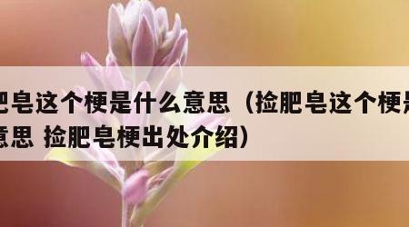 捡肥皂这个梗是什么意思（捡肥皂这个梗是什么意思 捡肥皂梗出处介绍）