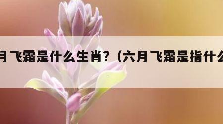 六月飞霜是什么生肖?（六月飞霜是指什么生肖）