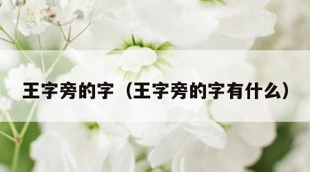 王字旁的字（王字旁的字有什么）