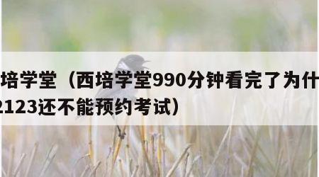 西培学堂（西培学堂990分钟看完了为什么12123还不能预约考试）