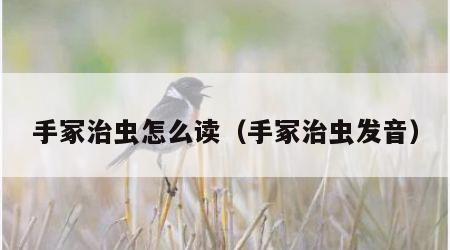 手冢治虫怎么读（手冢治虫发音）