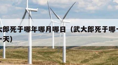 武大郎死于哪年哪月哪日（武大郎死于哪一年哪一天）