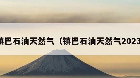 镇巴石油天然气（镇巴石油天然气2023）