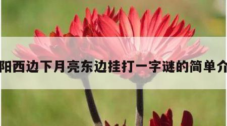 太阳西边下月亮东边挂打一字谜的简单介绍