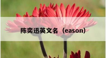 陈奕迅英文名（eason）